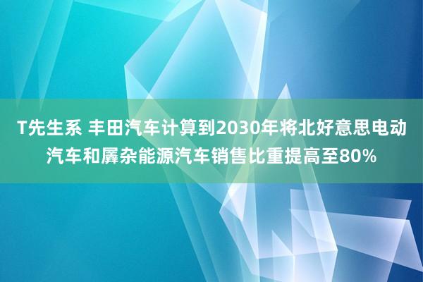 T先生系 丰田汽车计算到2030年将北好意思电动汽车和羼杂能源汽车销售比重提高至80%