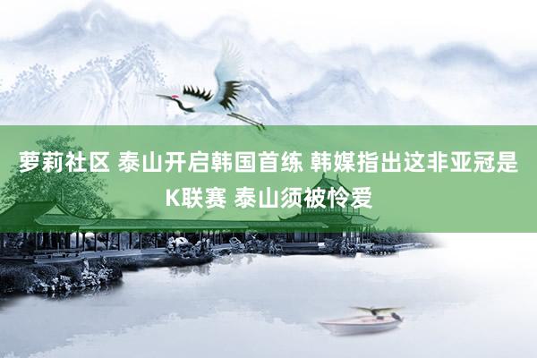 萝莉社区 泰山开启韩国首练 韩媒指出这非亚冠是K联赛 泰山须被怜爱