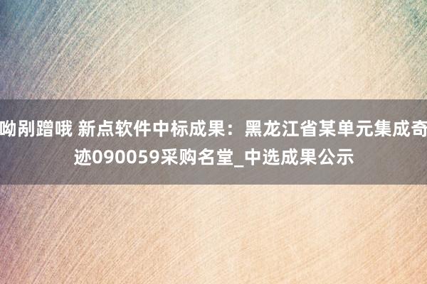 呦剐蹭哦 新点软件中标成果：黑龙江省某单元集成奇迹090059采购名堂_中选成果公示