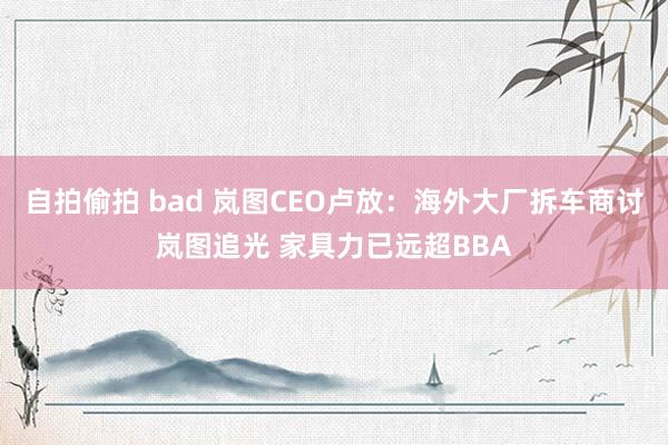 自拍偷拍 bad 岚图CEO卢放：海外大厂拆车商讨岚图追光 家具力已远超BBA