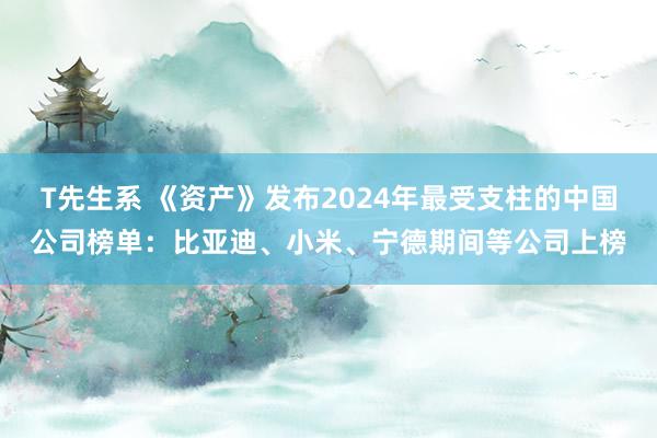 T先生系 《资产》发布2024年最受支柱的中国公司榜单：比亚迪、小米、宁德期间等公司上榜