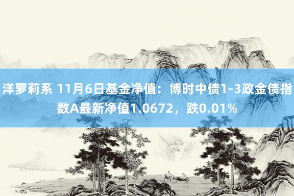 洋萝莉系 11月6日基金净值：博时中债1-3政金债指数A最新净值1.0672，跌0.01%