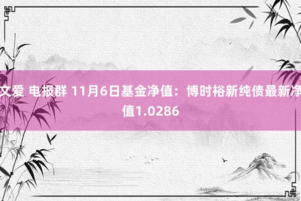 文爱 电报群 11月6日基金净值：博时裕新纯债最新净值1.0286