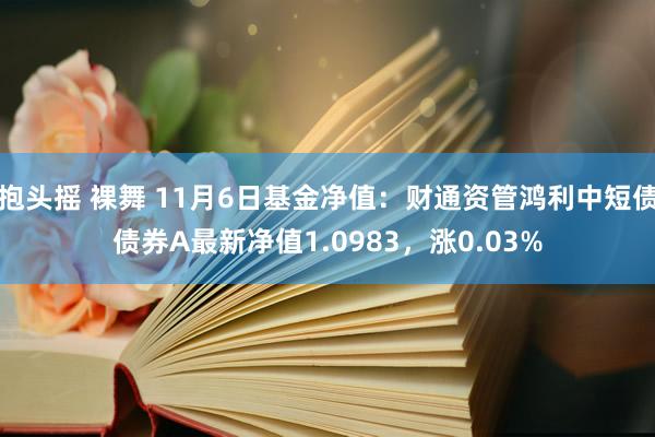 抱头摇 裸舞 11月6日基金净值：财通资管鸿利中短债债券A最新净值1.0983，涨0.03%