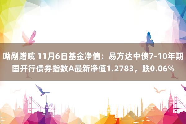 呦剐蹭哦 11月6日基金净值：易方达中债7-10年期国开行债券指数A最新净值1.2783，跌0.06%