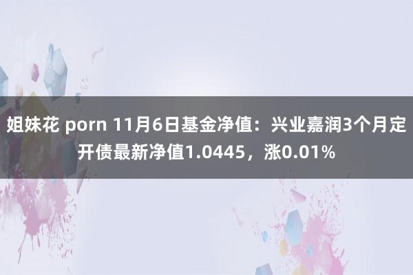 姐妹花 porn 11月6日基金净值：兴业嘉润3个月定开债最新净值1.0445，涨0.01%