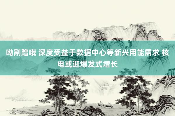 呦剐蹭哦 深度受益于数据中心等新兴用能需求 核电或迎爆发式增长