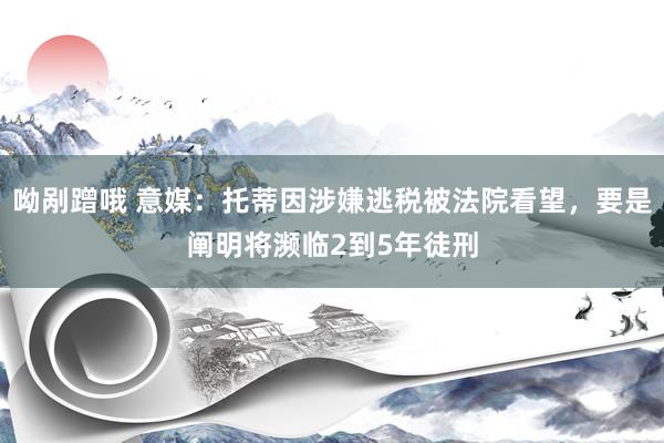 呦剐蹭哦 意媒：托蒂因涉嫌逃税被法院看望，要是阐明将濒临2到5年徒刑