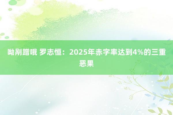 呦剐蹭哦 罗志恒：2025年赤字率达到4%的三重恶果