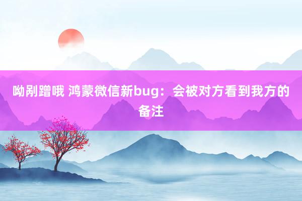 呦剐蹭哦 鸿蒙微信新bug：会被对方看到我方的备注