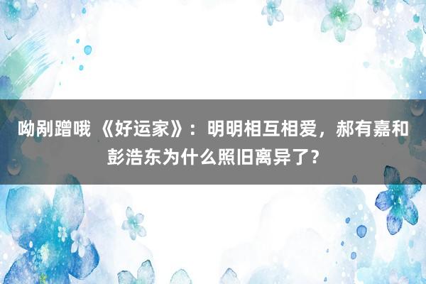 呦剐蹭哦 《好运家》：明明相互相爱，郝有嘉和彭浩东为什么照旧离异了？