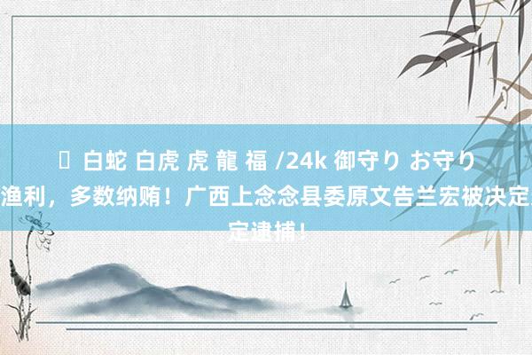 ✨白蛇 白虎 虎 龍 福 /24k 御守り お守り 弧线渔利，多数纳贿！广西上念念县委原文告兰宏被决定逮捕！