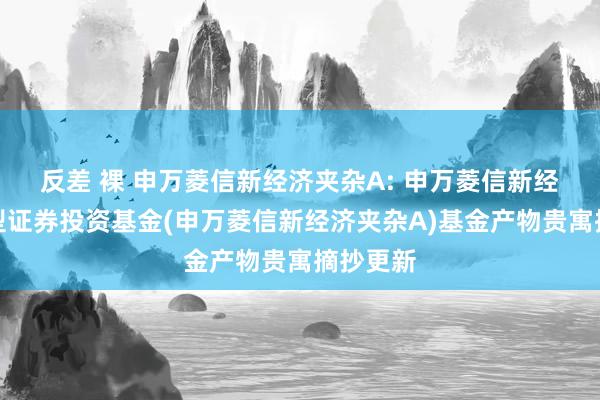 反差 裸 申万菱信新经济夹杂A: 申万菱信新经济夹杂型证券投资基金(申万菱信新经济夹杂A)基金产物贵寓摘抄更新