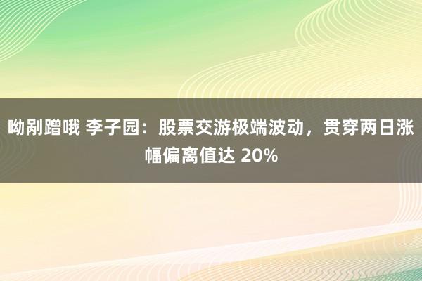 呦剐蹭哦 李子园：股票交游极端波动，贯穿两日涨幅偏离值达 20%