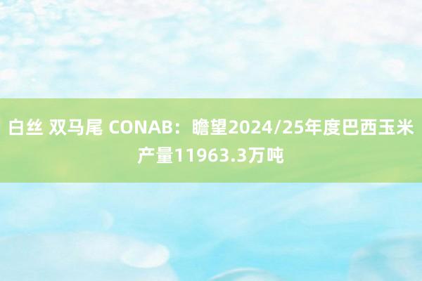 白丝 双马尾 CONAB：瞻望2024/25年度巴西玉米产量11963.3万吨