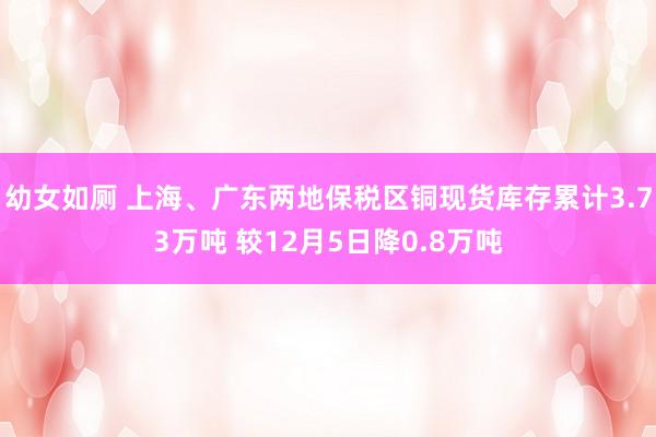 幼女如厕 上海、广东两地保税区铜现货库存累计3.73万吨 较12月5日降0.8万吨