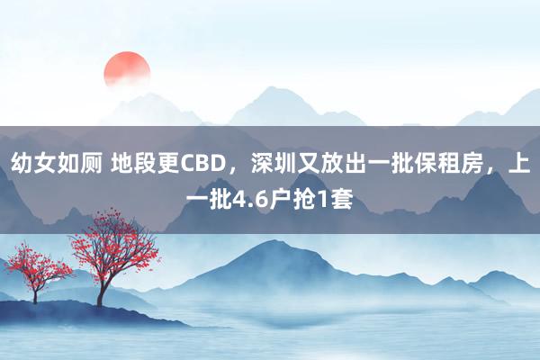 幼女如厕 地段更CBD，深圳又放出一批保租房，上一批4.6户抢1套