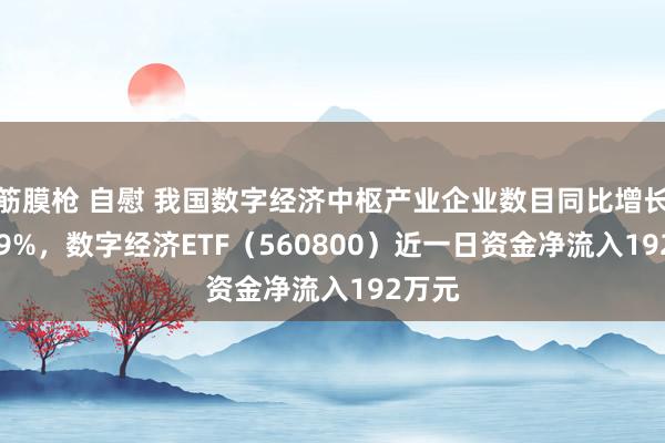 筋膜枪 自慰 我国数字经济中枢产业企业数目同比增长17.99%，数字经济ETF（560800）近一日资金净流入192万元