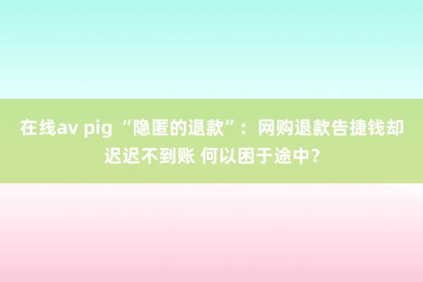 在线av pig “隐匿的退款”：网购退款告捷钱却迟迟不到账 何以困于途中？