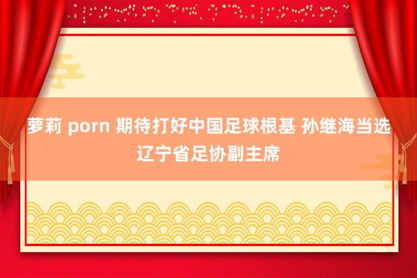 萝莉 porn 期待打好中国足球根基 孙继海当选辽宁省足协副主席