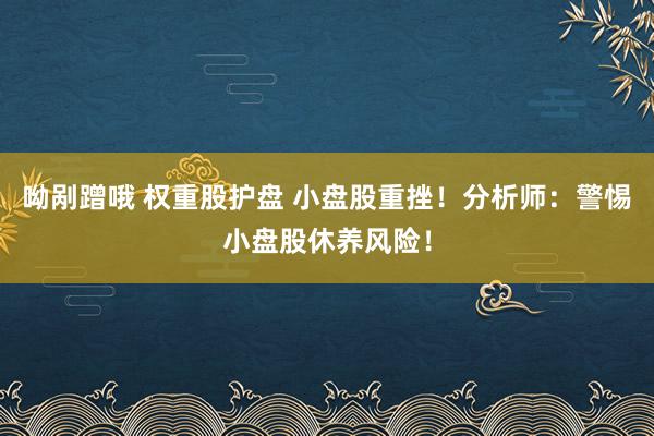 呦剐蹭哦 权重股护盘 小盘股重挫！分析师：警惕小盘股休养风险！