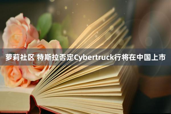 萝莉社区 特斯拉否定Cybertruck行将在中国上市