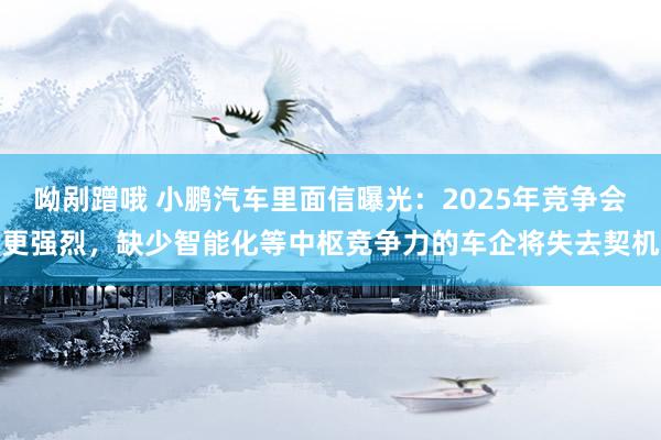 呦剐蹭哦 小鹏汽车里面信曝光：2025年竞争会更强烈，缺少智能化等中枢竞争力的车企将失去契机