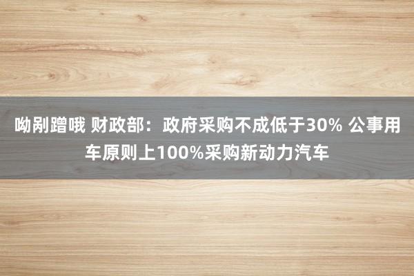 呦剐蹭哦 财政部：政府采购不成低于30% 公事用车原则上100%采购新动力汽车