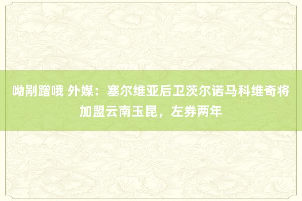 呦剐蹭哦 外媒：塞尔维亚后卫茨尔诺马科维奇将加盟云南玉昆，左券两年