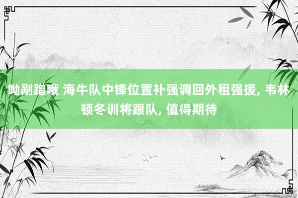 呦剐蹭哦 海牛队中锋位置补强调回外租强援， 韦林顿冬训将跟队， 值得期待