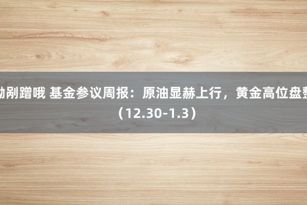 呦剐蹭哦 基金参议周报：原油显赫上行，黄金高位盘整（12.30-1.3）