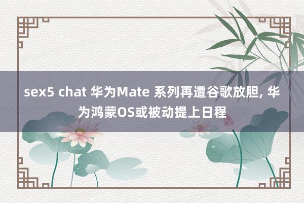 sex5 chat 华为Mate 系列再遭谷歌放胆， 华为鸿蒙OS或被动提上日程