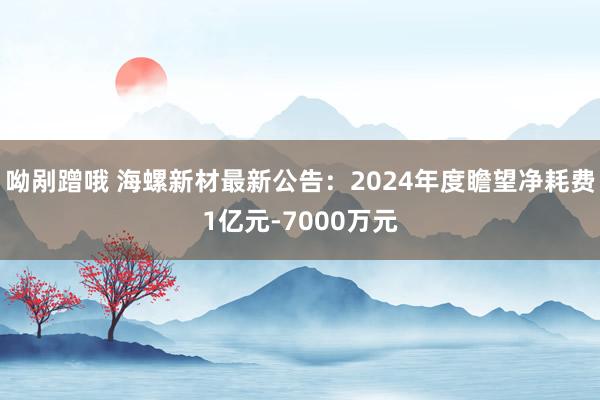 呦剐蹭哦 海螺新材最新公告：2024年度瞻望净耗费1亿元-7000万元