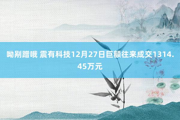 呦剐蹭哦 震有科技12月27日巨额往来成交1314.45万元