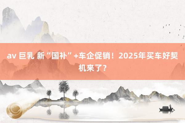 av 巨乳 新“国补”+车企促销！2025年买车好契机来了？