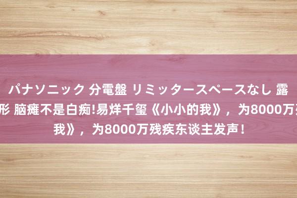 パナソニック 分電盤 リミッタースペースなし 露出・半埋込両用形 脑瘫不是白痴!易烊千玺《小小的我》，为8000万残疾东谈主发声！