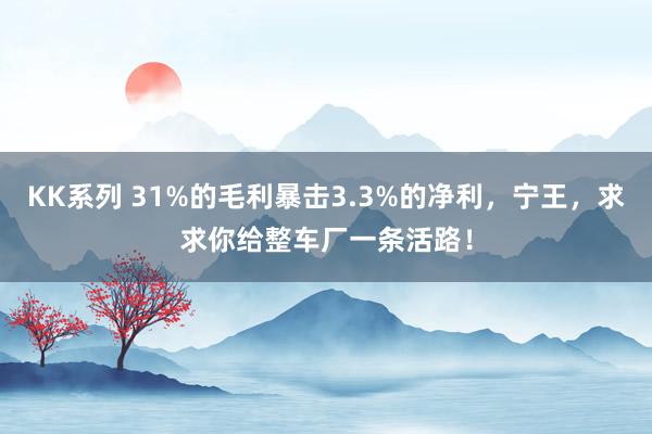 KK系列 31%的毛利暴击3.3%的净利，宁王，求求你给整车厂一条活路！