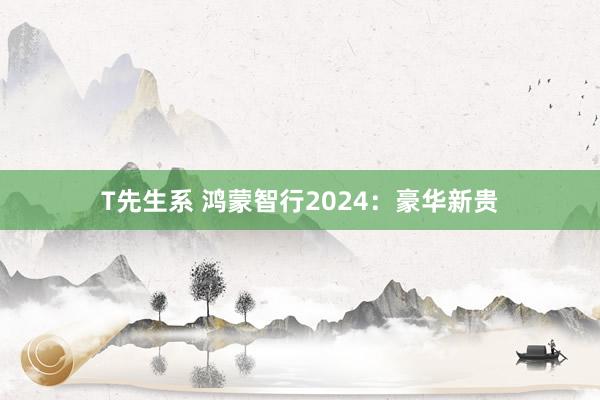 T先生系 鸿蒙智行2024：豪华新贵