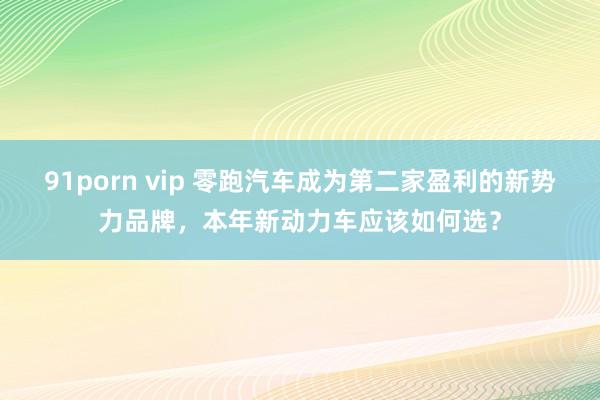 91porn vip 零跑汽车成为第二家盈利的新势力品牌，本年新动力车应该如何选？