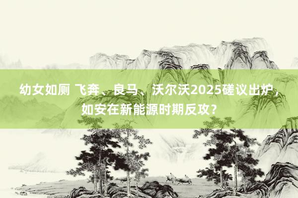 幼女如厕 飞奔、良马、沃尔沃2025磋议出炉，如安在新能源时期反攻？