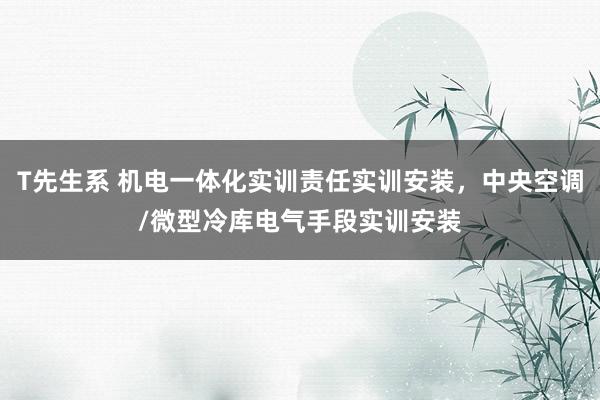 T先生系 机电一体化实训责任实训安装，中央空调/微型冷库电气手段实训安装