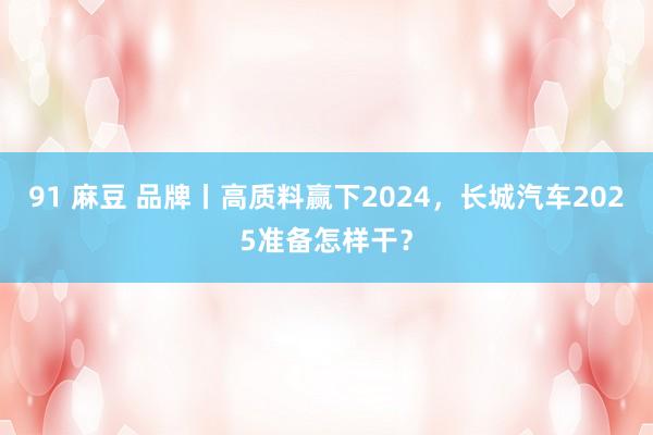 91 麻豆 品牌丨高质料赢下2024，长城汽车2025准备怎样干？